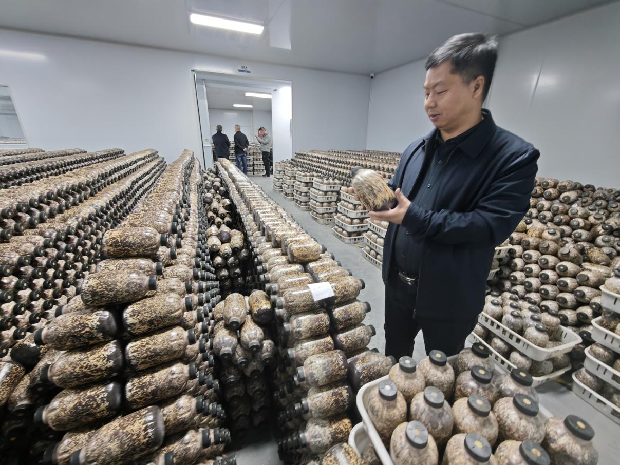 图片关键词