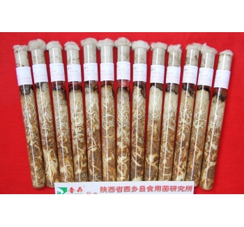天麻蜜环菌母种、原种、栽培种