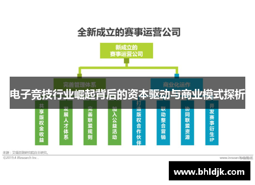 电子竞技行业崛起背后的资本驱动与商业模式探析